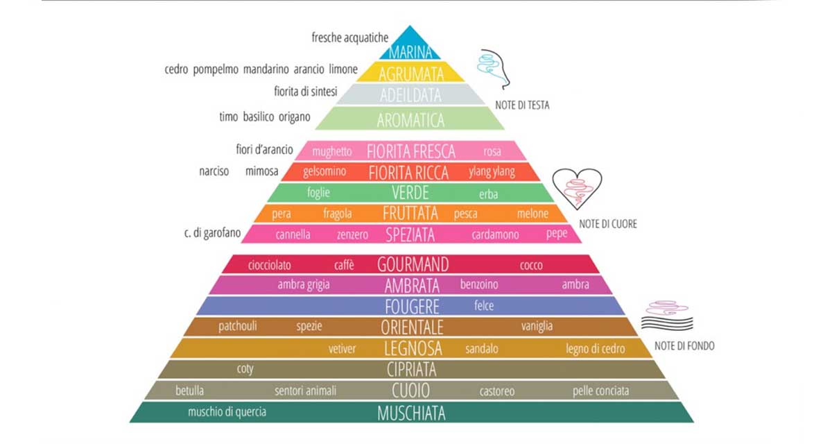 Piramide Olfattiva Profumi Equivalenti