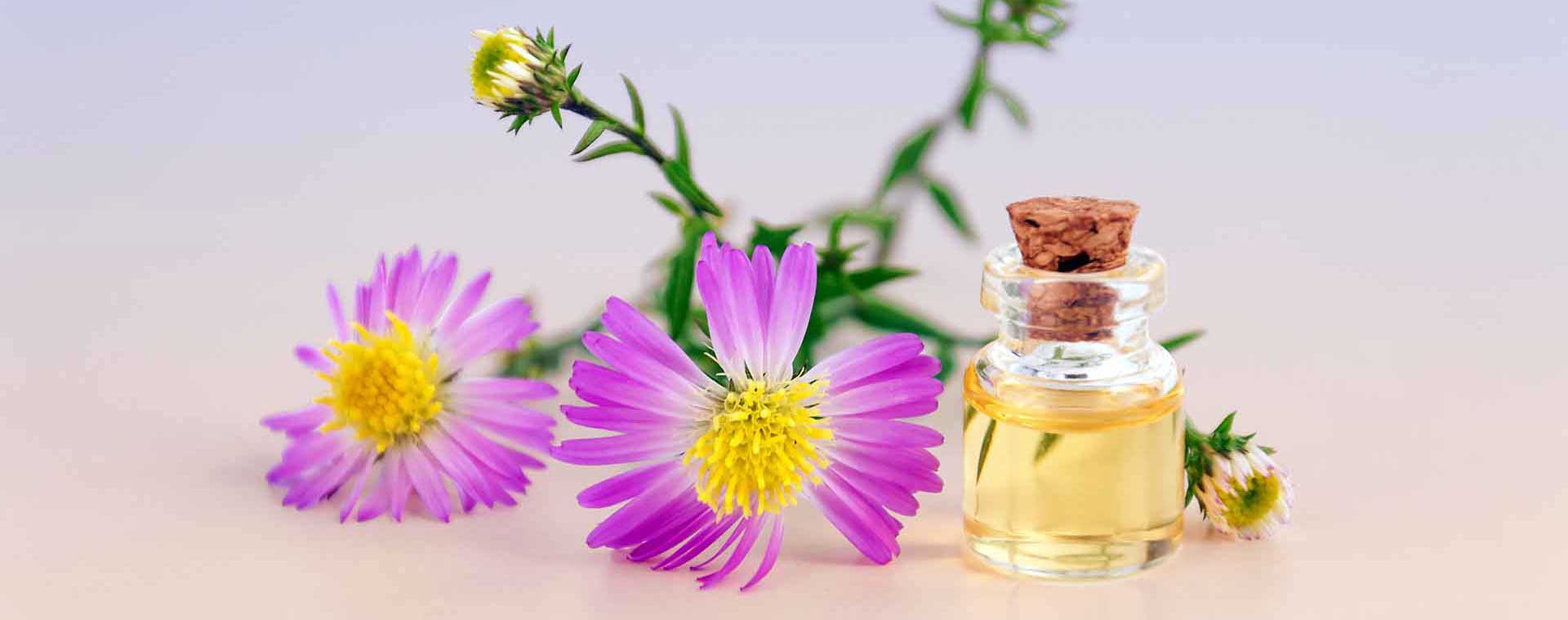 durata-intensita-equivalenti-profumi Durata e intensita scopri il tuo profumo