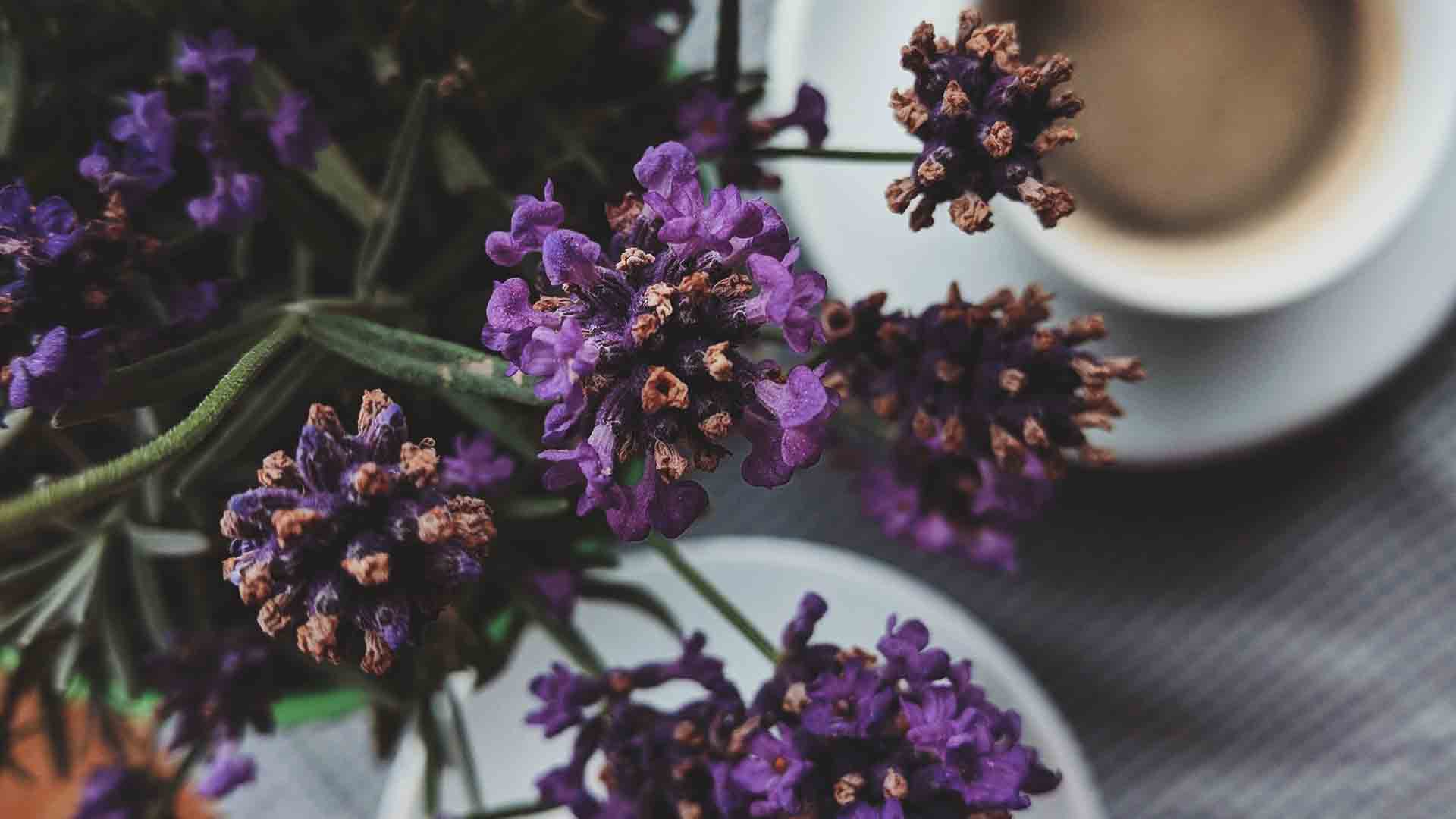 profumi-equivalenti Durata e intensita - scopri il tuo profumo