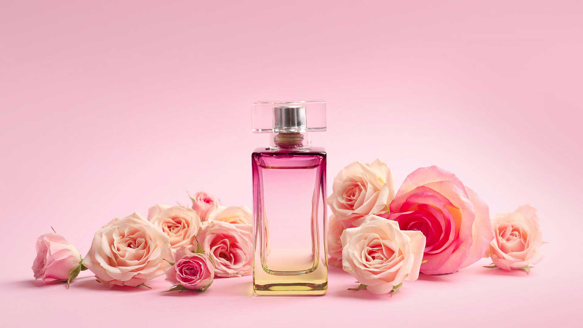 Profumi equivalenti alla rosa